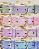 Holographic Personalized Pet Collar