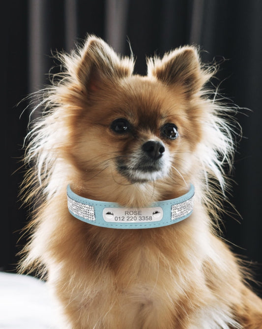 Bedazzled Custom Nameplate Collar