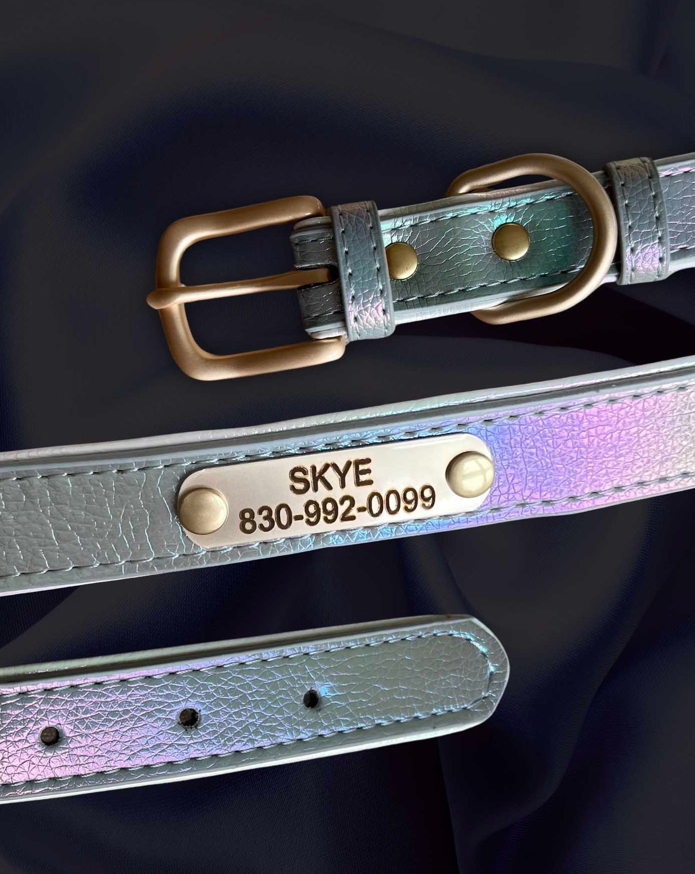 Holographic Personalized Pet Collar